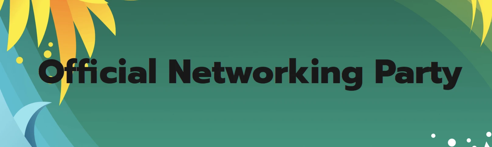 Official Networking Party